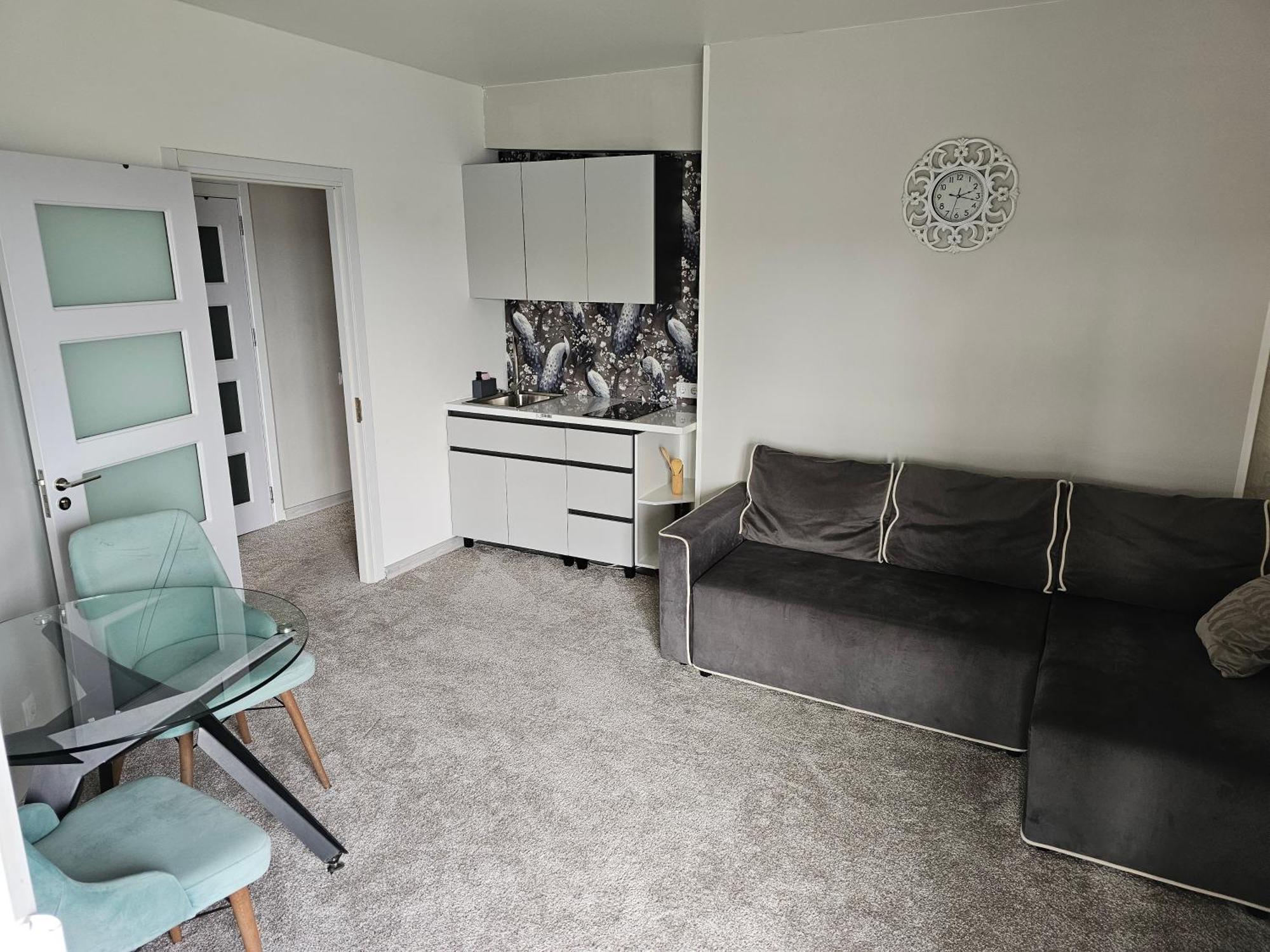 Apartament With Terras キシナウ エクステリア 写真