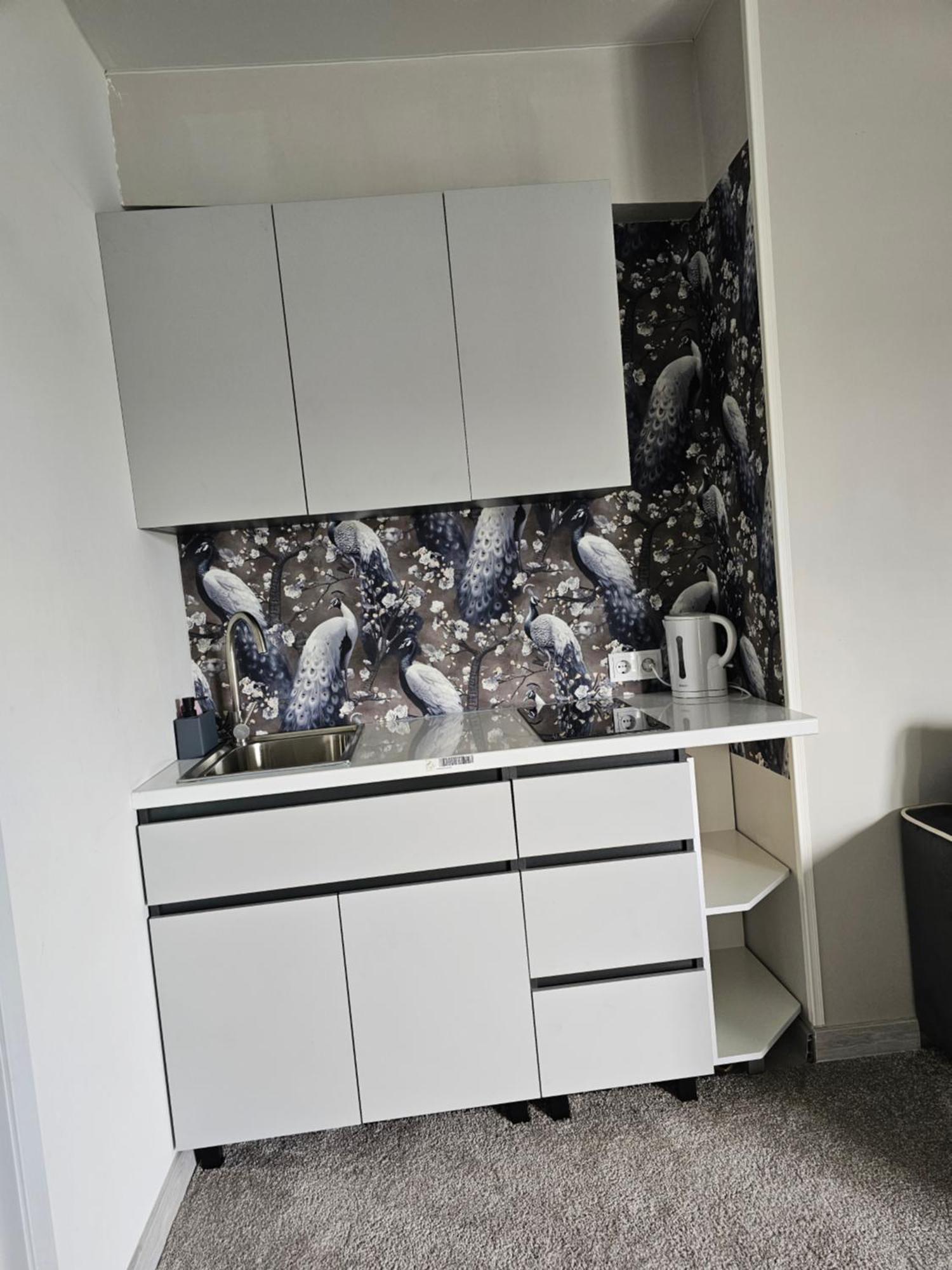 Apartament With Terras キシナウ エクステリア 写真